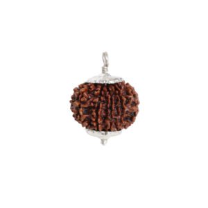 Natural 9 Mukhi Rudraksha (Nepal Origin)