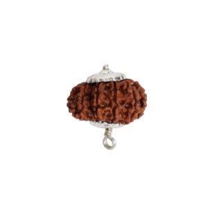 Natural 12 Mukhi Rudraksha (Nepal Origin)
